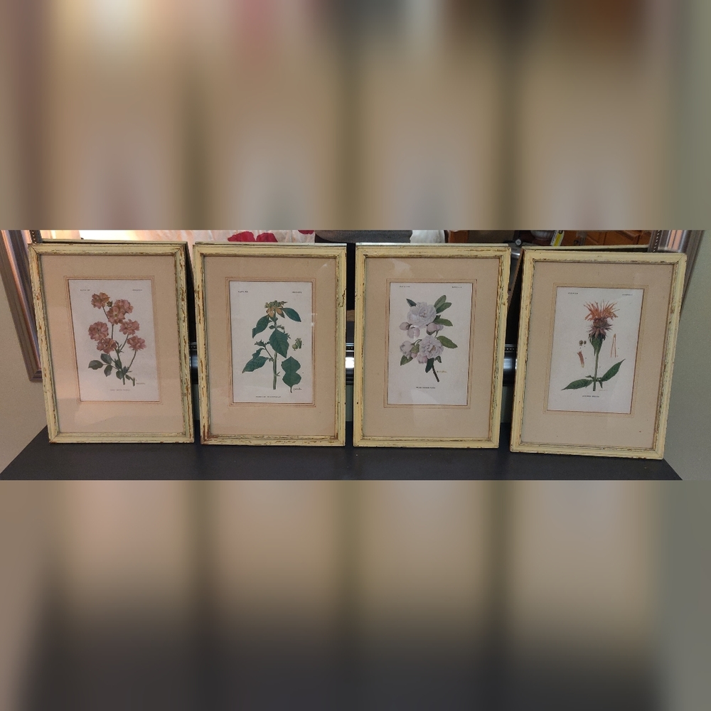 Vintage Framed Floral Prints (4)